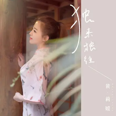 独来独往(伴奏)封面
