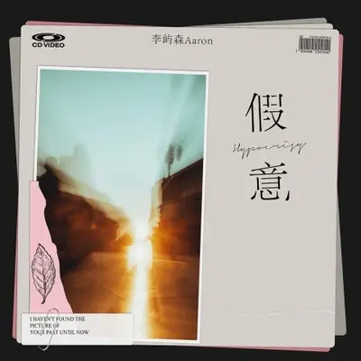 假意封面