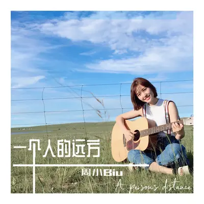 一个人的远方封面