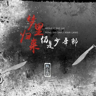 梦里归来仍是少年郎(伴奏)封面