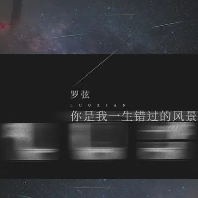 你是我一生错过的风景(DJ阿福 Remix)(DJ阿福 Remix)封面