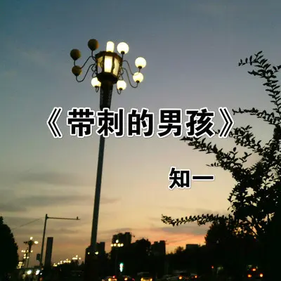 盔甲皆软肋封面