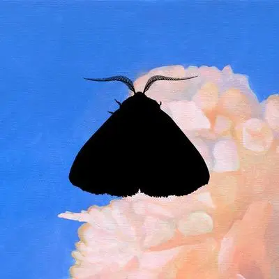 Moth to the Flame (Whatever/Whatever Remix)封面