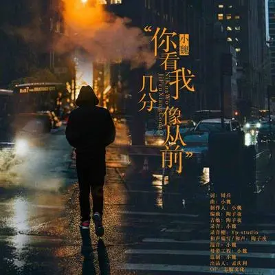 你看我几分像从前(伴奏) - 沐毅封面