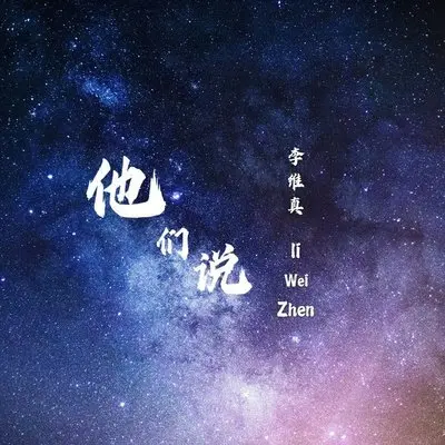 他们说(伴奏)封面