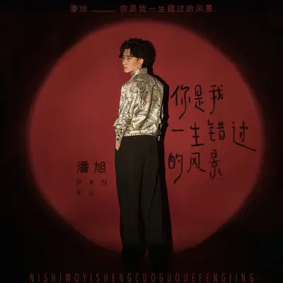 你是我一生错过的风景(DJ阿福Remix版)(DJ阿福Remix版)封面