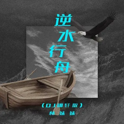 逆水行舟(DJ翊轩版)(DJ翊轩版)封面