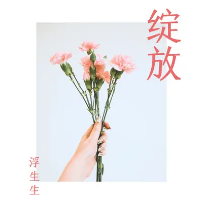 绽放封面