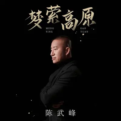 梦萦高原(伴奏) - 陈武峰封面