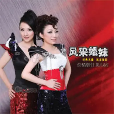 今天不回家 - 风采姐妹封面