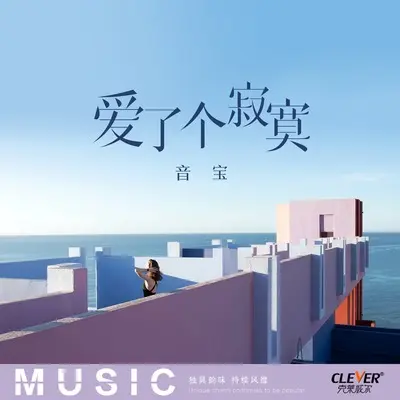 爱了个寂寞(DJ版)(DJ版)封面