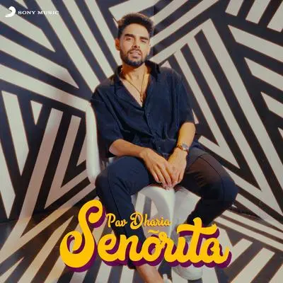 Senorita封面