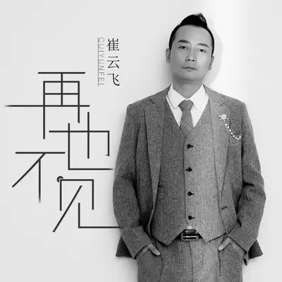 再也不见封面