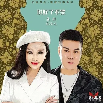 说好了不哭（DJ版伴奏）封面