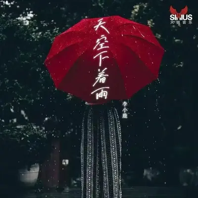 天空下着雨封面