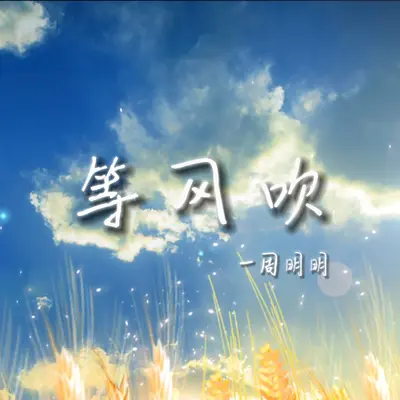 等风吹封面