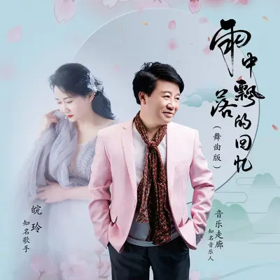 雨中飘落的回忆(舞曲版)封面
