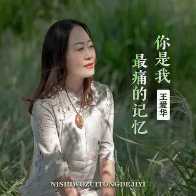 你是我最痛的记忆(DJ版)封面