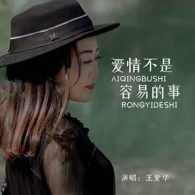 爱情不是容易的事(DJ默涵版) - 王爱华封面