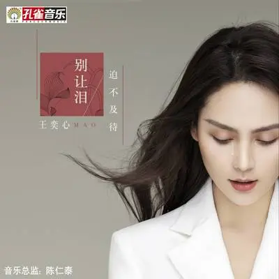 别让泪迫不及待封面