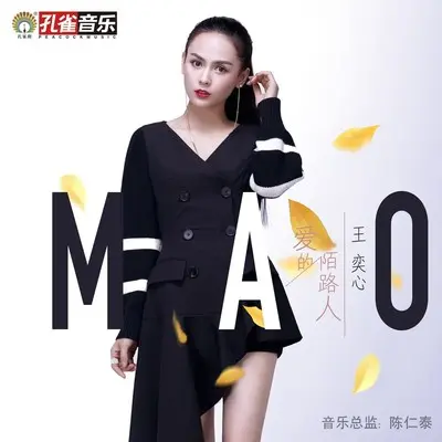 爱的陌路人封面