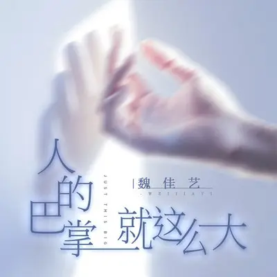 人的巴掌就这么大(DJ阿卓版)封面