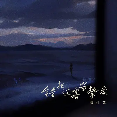 错把过客当挚爱 - 魏佳艺封面