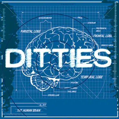 情诗 (抖音热播原版)封面