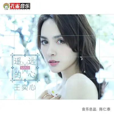 遥远的心封面