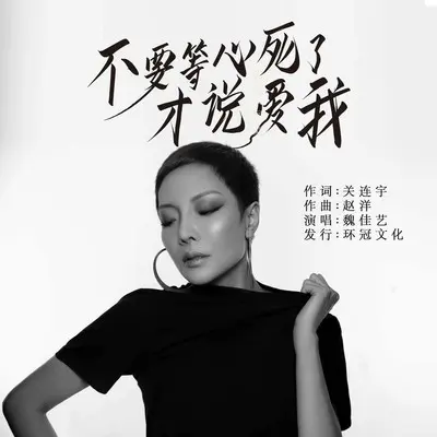 不要等心死了才说爱我 - 魏佳艺封面