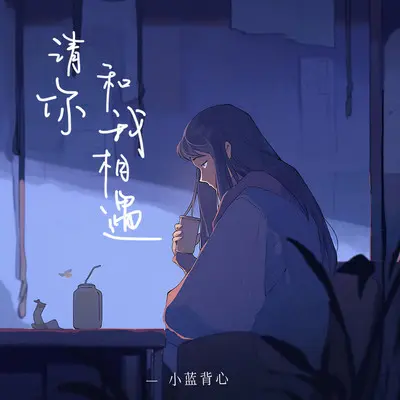 请你和我相遇封面
