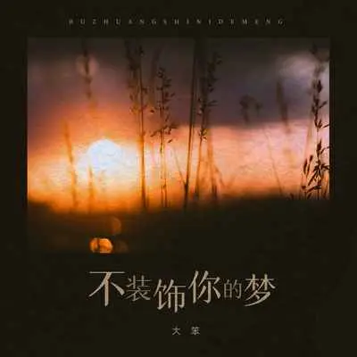 不装饰你的梦(伴奏)封面