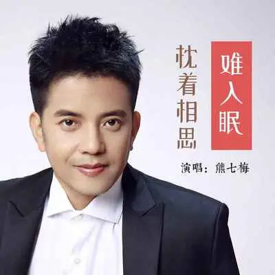 枕着相思难入眠封面