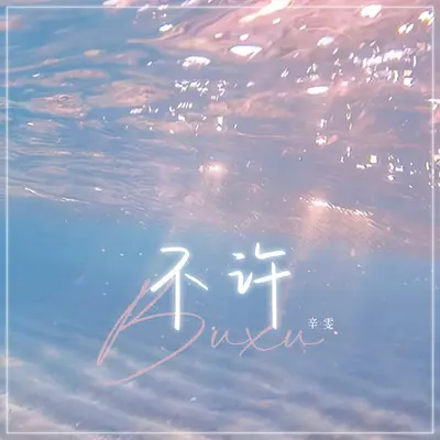 不许(伴奏)封面
