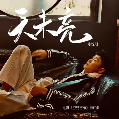 天未亮(电影《穷兄富弟》推广曲)封面