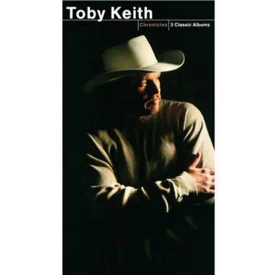 In Other Words (Album Version) - Toby Keith封面