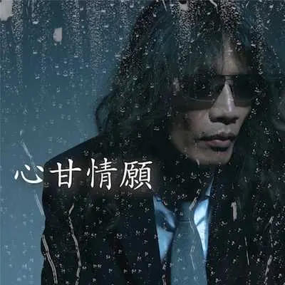 心甘情愿封面