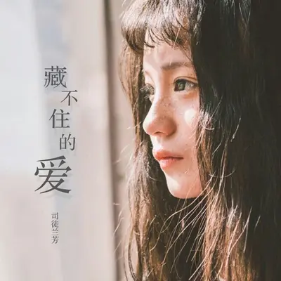 藏不住的爱封面
