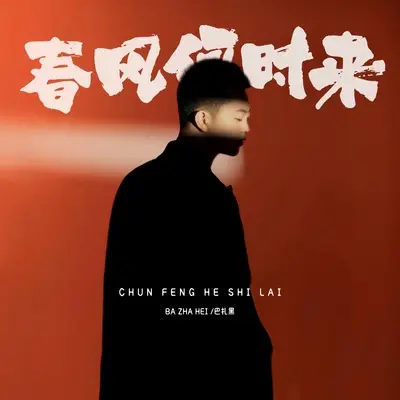 春风何时来(DJ德朋版)封面