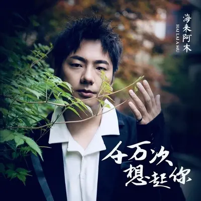 千万次想起你(伴奏)封面