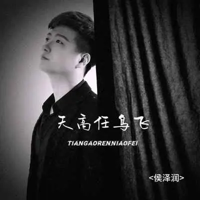 天高任鸟飞(DJ光波版)封面