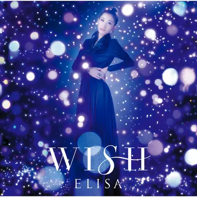 WISH (Instrumental)封面