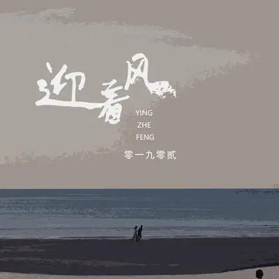 迎着风(DJ版) - 零一九零贰封面