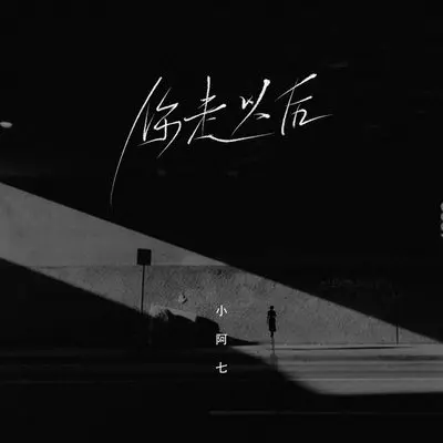你走以后 (伴奏) - 小阿七封面