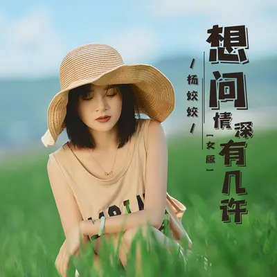 想问情深有几许 (女版DJ默涵版)封面