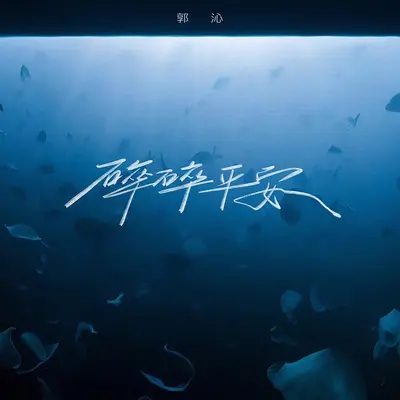 碎碎平安(伴奏)封面