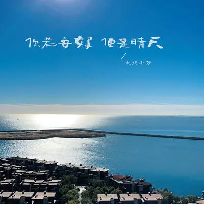 你若安好便是晴天 (吉他版伴奏)封面