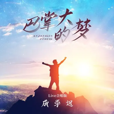 巴掌大的梦(Live合唱版)(Live合唱版)封面