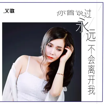 你曾说过永远不会离开我封面