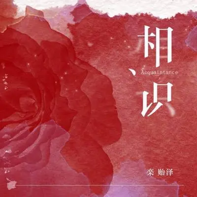 相识封面